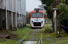 Foto de la galería: Con la llegada de la primera formación se reactivó el servicio de trenes de carga en Misiones