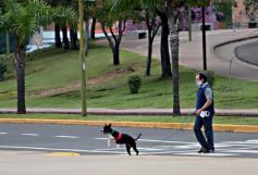 Foto de la galería: Domingo de caminata recreativa en la capital provincial