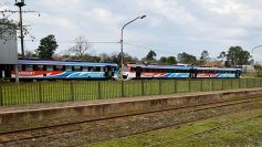 Foto de la galería: Partió de Garupá el tren de cargas con casi mil toneladas de producción misionera