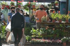 Foto de la galería: Sábado en el Mercado Concentrador, lo mejor de la chacra misionera