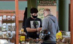 Foto de la galería: Sábado en el Mercado Concentrador, lo mejor de la chacra misionera