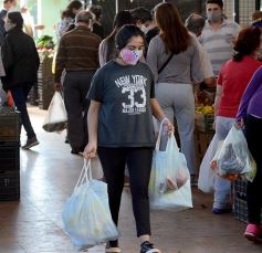 Foto de la galería: Sábado en el Mercado Concentrador, lo mejor de la chacra misionera