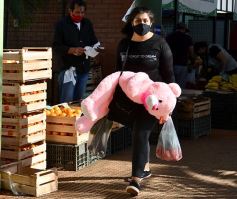 Foto de la galería: Sábado en el Mercado Concentrador, lo mejor de la chacra misionera