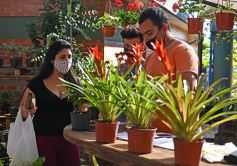 Foto de la galería: Sábado en el Mercado Concentrador, lo mejor de la chacra misionera
