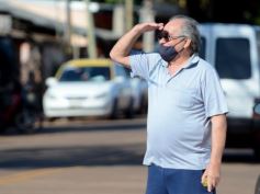 Foto de la galería: Sábado en el Mercado Concentrador, lo mejor de la chacra misionera