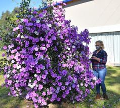 Foto de la galería: Marcela Rodríguez, de San Javier, fiel exponente de la mujer misionera emprendedora