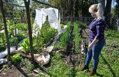 Foto de la galería: Marcela Rodríguez, de San Javier, fiel exponente de la mujer misionera emprendedora