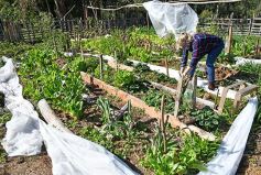 Foto de la galería: Marcela Rodríguez, de San Javier, fiel exponente de la mujer misionera emprendedora