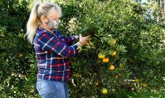 Foto de la galería: Marcela Rodríguez, de San Javier, fiel exponente de la mujer misionera emprendedora