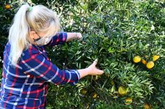 Foto de la galería: Marcela Rodríguez, de San Javier, fiel exponente de la mujer misionera emprendedora