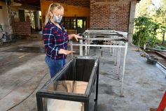 Foto de la galería: Marcela Rodríguez, de San Javier, fiel exponente de la mujer misionera emprendedora
