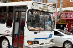 Foto de la galería: Recorrida por Posadas: desde los Leones Solidarios hasta los amigos de la tele, en su día