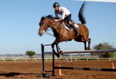 Foto de la galería: Casco Rosado, una nueva alternativa para los amantes de la equitación en Misiones