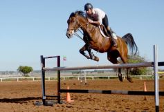 Foto de la galería: Casco Rosado, una nueva alternativa para los amantes de la equitación en Misiones