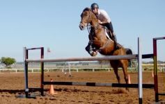 Foto de la galería: Casco Rosado, una nueva alternativa para los amantes de la equitación en Misiones