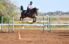 Foto de la galería: Casco Rosado, una nueva alternativa para los amantes de la equitación en Misiones