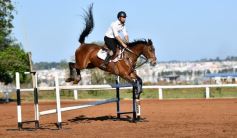 Foto de la galería: Casco Rosado, una nueva alternativa para los amantes de la equitación en Misiones