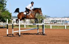 Foto de la galería: Casco Rosado, una nueva alternativa para los amantes de la equitación en Misiones