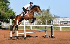 Foto de la galería: Casco Rosado, una nueva alternativa para los amantes de la equitación en Misiones
