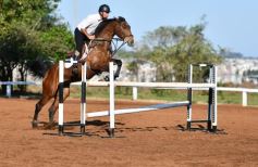 Foto de la galería: Casco Rosado, una nueva alternativa para los amantes de la equitación en Misiones