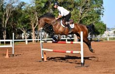 Foto de la galería: Casco Rosado, una nueva alternativa para los amantes de la equitación en Misiones
