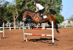 Foto de la galería: Casco Rosado, una nueva alternativa para los amantes de la equitación en Misiones