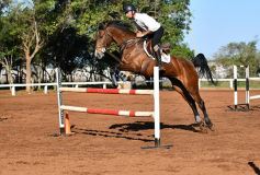 Foto de la galería: Casco Rosado, una nueva alternativa para los amantes de la equitación en Misiones