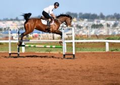 Foto de la galería: Casco Rosado, una nueva alternativa para los amantes de la equitación en Misiones