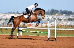 Foto de la galería: Casco Rosado, una nueva alternativa para los amantes de la equitación en Misiones