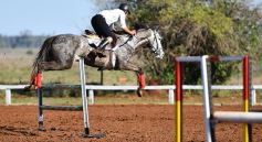 Foto de la galería: Casco Rosado, una nueva alternativa para los amantes de la equitación en Misiones