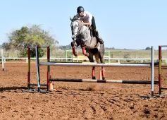 Foto de la galería: Casco Rosado, una nueva alternativa para los amantes de la equitación en Misiones