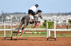 Foto de la galería: Casco Rosado, una nueva alternativa para los amantes de la equitación en Misiones