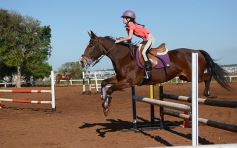 Foto de la galería: Casco Rosado, una nueva alternativa para los amantes de la equitación en Misiones
