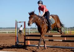 Foto de la galería: Casco Rosado, una nueva alternativa para los amantes de la equitación en Misiones