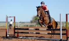 Foto de la galería: Casco Rosado, una nueva alternativa para los amantes de la equitación en Misiones