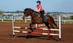 Foto de la galería: Casco Rosado, una nueva alternativa para los amantes de la equitación en Misiones