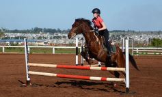 Foto de la galería: Casco Rosado, una nueva alternativa para los amantes de la equitación en Misiones