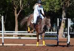 Foto de la galería: Casco Rosado, una nueva alternativa para los amantes de la equitación en Misiones