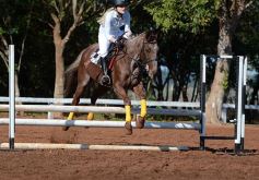 Foto de la galería: Casco Rosado, una nueva alternativa para los amantes de la equitación en Misiones