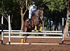 Foto de la galería: Casco Rosado, una nueva alternativa para los amantes de la equitación en Misiones