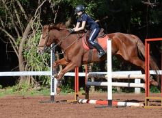 Foto de la galería: Casco Rosado, una nueva alternativa para los amantes de la equitación en Misiones