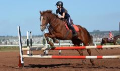 Foto de la galería: Casco Rosado, una nueva alternativa para los amantes de la equitación en Misiones