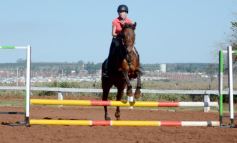Foto de la galería: Casco Rosado, una nueva alternativa para los amantes de la equitación en Misiones