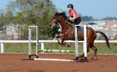 Foto de la galería: Casco Rosado, una nueva alternativa para los amantes de la equitación en Misiones