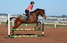 Foto de la galería: Casco Rosado, una nueva alternativa para los amantes de la equitación en Misiones
