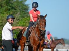 Foto de la galería: Casco Rosado, una nueva alternativa para los amantes de la equitación en Misiones