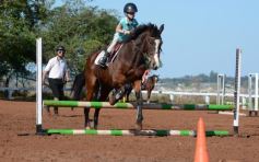 Foto de la galería: Casco Rosado, una nueva alternativa para los amantes de la equitación en Misiones