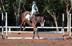 Foto de la galería: Casco Rosado, una nueva alternativa para los amantes de la equitación en Misiones