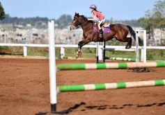 Foto de la galería: Casco Rosado, una nueva alternativa para los amantes de la equitación en Misiones