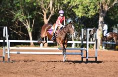 Foto de la galería: Casco Rosado, una nueva alternativa para los amantes de la equitación en Misiones